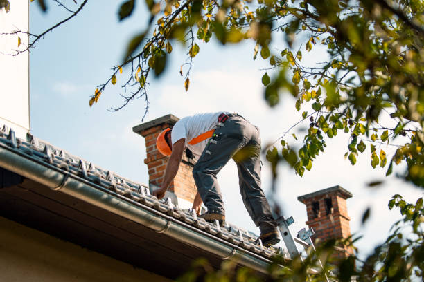 Best Residential Roofing Contractor  in North Kingsville, OH